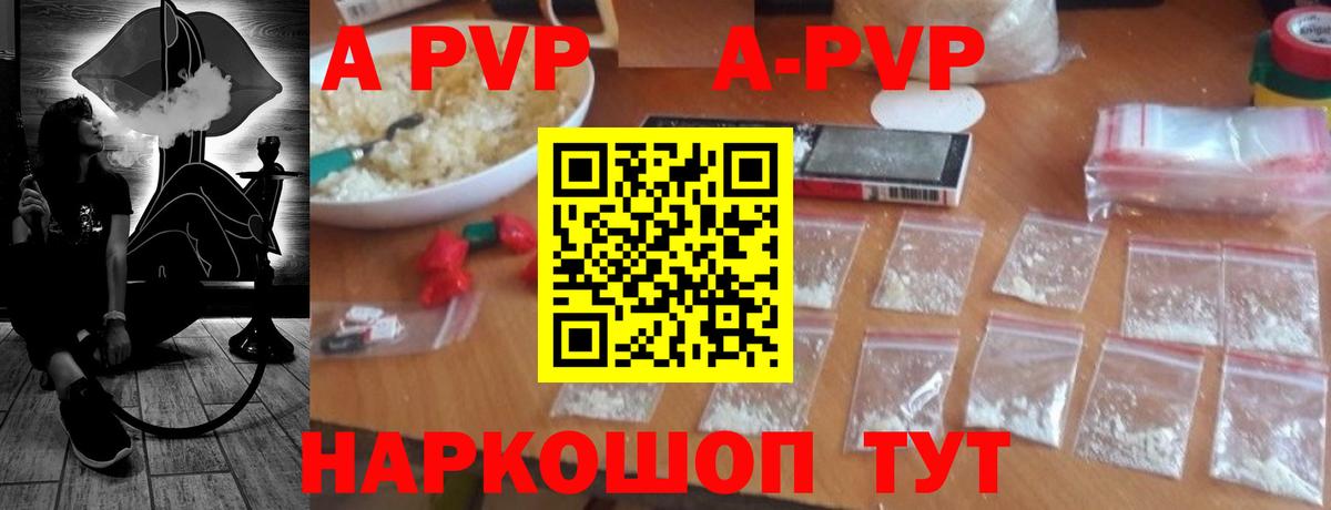 A-PVP СК Красноярск