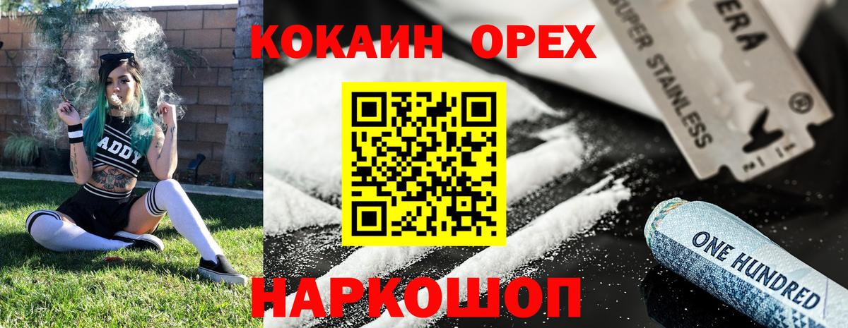 COCAIN Fish Scale  Вход с VPN  Красноярск 